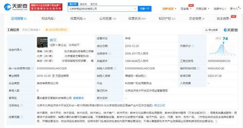 數(shù)字文化創(chuàng)意內(nèi)容應用服務 重塑傳統(tǒng)與激活未來